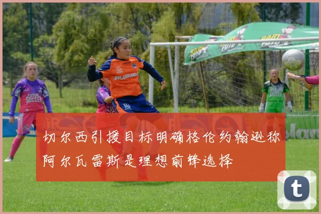 切尔西引援目标明确格伦约翰逊称阿尔瓦雷斯是理想前锋选择