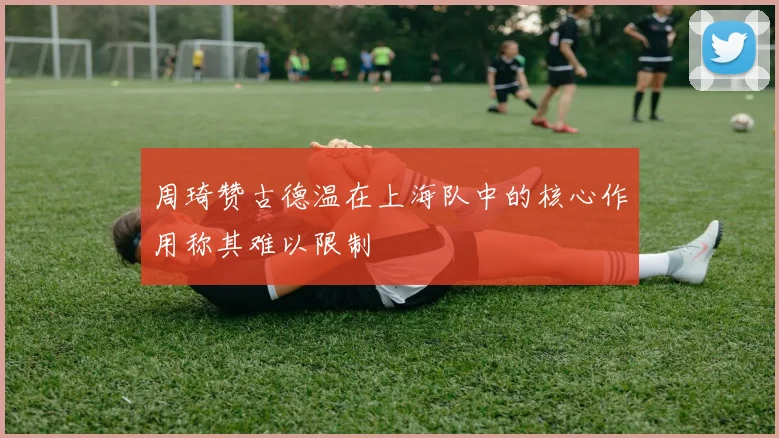 周琦赞古德温在上海队中的核心作用称其难以限制